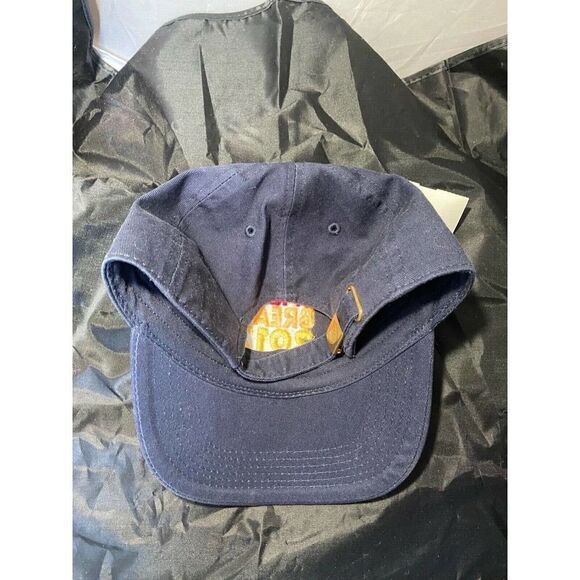 Carnival Cruise Lines Spring Break 2017 Baseball Hat Vacation Memorabilia - Picture 4 of 6